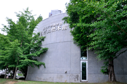東北大学総合学術博物館（自然史標本館）